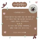 아이몽 | 의정부애견유치원 아이몽 호텔 이용 후 찐 반응!