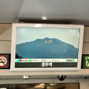 ㈜우리렌트카경주영업소 | 내돈내산 | 경주여행 첫시작_렌터카 빌리기 [롯데렌터카 경주지점]