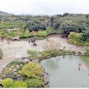 제주도건강랜드 이미지