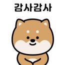큰댕이네 이미지