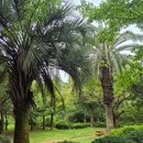 방배천로24길1-12 이미지