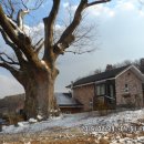 사정1리경로당 이미지