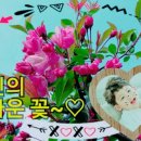 스마트폰과 SNS 마케팅 이미지