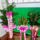 창신대학 이미지