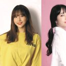 반올림피자서울 이미지