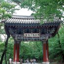 일주문 Daum카페