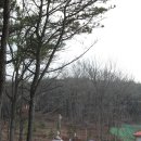 (주)티피팜 | [스칸디캠프팜] 반전매력 럭셔리 캠핑장