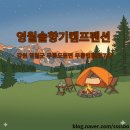 지구캠프 | 영월솔향기캠프펜션