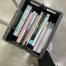 철구농장 | 회피와 방황에 아름다움을 잊지않기로 해