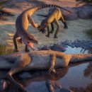 CW-2057-01 이미지