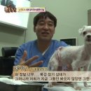 현아농장 이미지