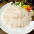 자갈치세꼬시