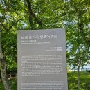 남해 가볼만한곳 물건리 방조어부림 남파랑길 39코스 산책하기 좋은 장소