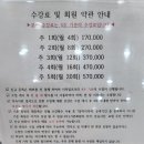 스위밍차일드