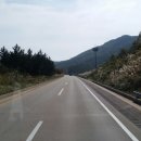 군산대박사료