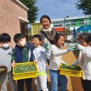 토지초등학교 이미지