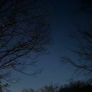 숲속에 안뜰 이미지