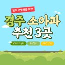 홍승지소아과의원 | 경주 여행 중 아이 아플 때 경주 소아과 추천
