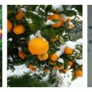 승광농장 이미지