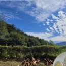 청미래농장 이미지