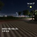 몽핏 | 스위치온 다이어트 몽핏 챌린지 후기, 1달 만에 몸의 변화