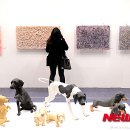 (주)더스푼 이미지