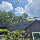 홍시식당 이미지