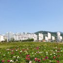 진섬어린이공원 이미지