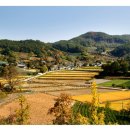 금척마을 이미지