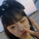 하니비디오 이미지