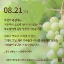 포도밭 주인이 바라는 정당함 이미지