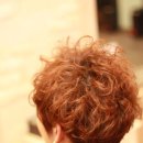 스왈로스튜디오 Daum카페