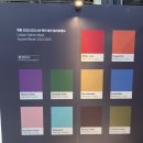 진영보쌈 왕족발 이미지