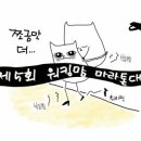 마미캣 네이버블로그