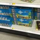 로아인터네셔널 이미지