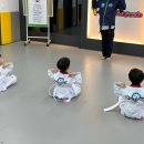 아이펀키즈태권도 이미지
