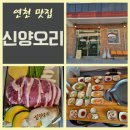 신양오리 이미지