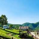 태백목장 이미지