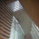 스카이베이더파크 | 마리나베이샌즈 3인실 숙박후기 샌즈 프리미어 더블 퀸룸 가든스바이더베이전망