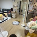 스텐도윤