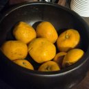 말질로 | 신당역 말질로_대방어에 우니반판 추가, 말질로 해산물 한상까지 제대로