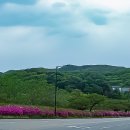 호암미술관 이미지