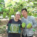 소전2리 이미지