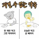 H.FIT 운동센터 이미지