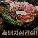 효자동솥뚜껑고양