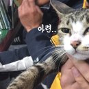 풍화리민박 이미지