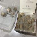 1023양과점: 마카롱 원데이클래스 후기