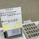 잠실에서 이색 체험 찾는다면? 잠실공방 &lt;플라비&gt; 공방 후기