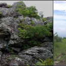 낙동농장 이미지