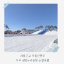 세종누리학교 | 청주 생명누리공원 눈썰매장 세종근교 가볼만한곳